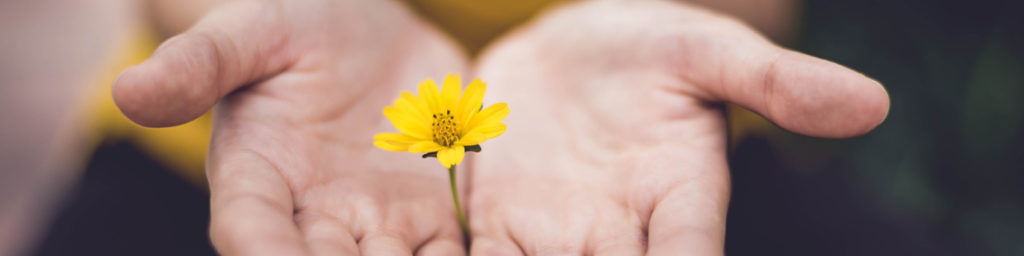 nous vous offrons du bien etre